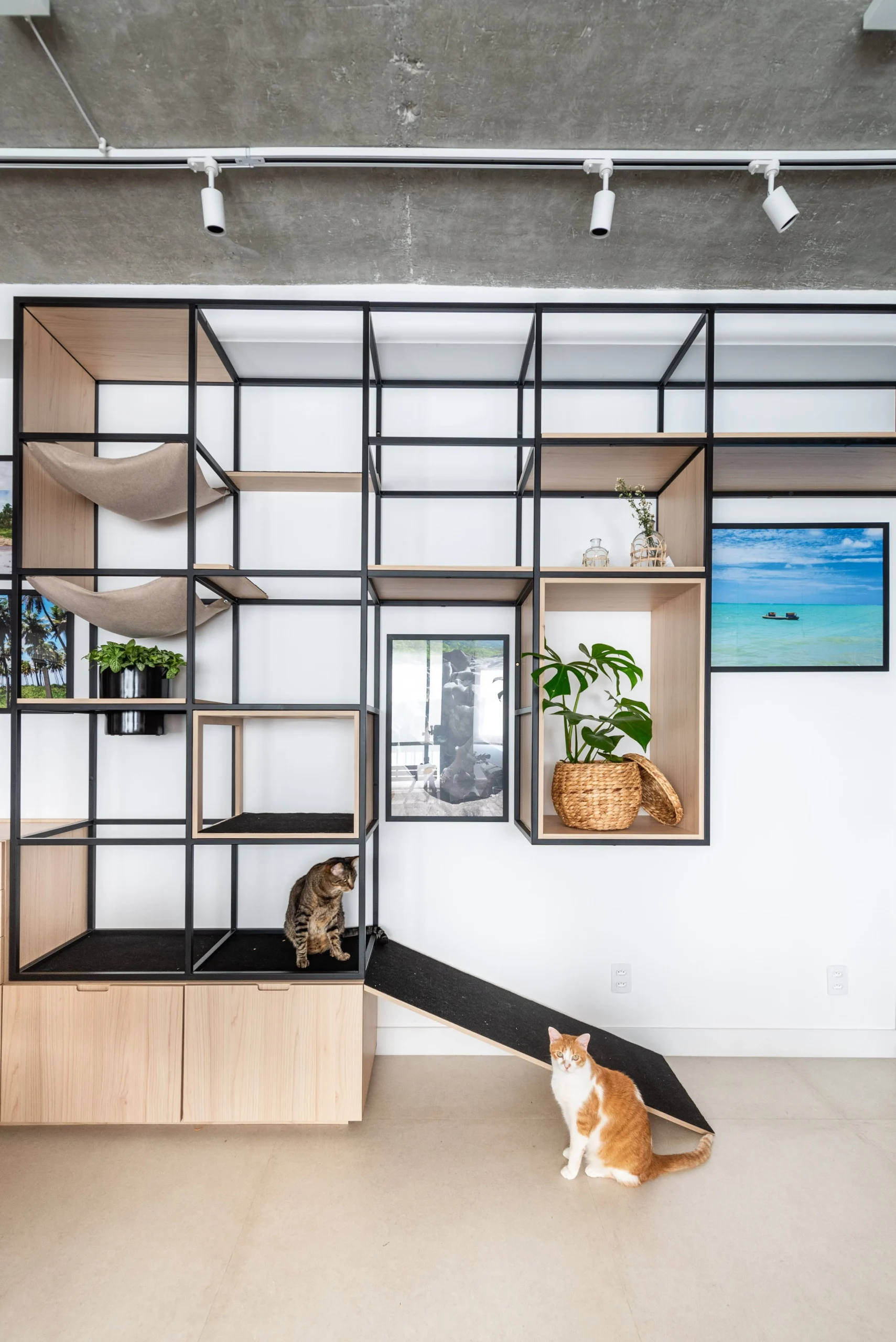 Sala de estar moderna com design contemporâneo